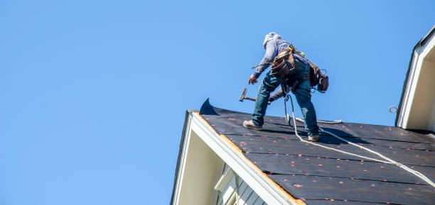 Best Shingle Roofing Installation  in Zebulon, NC